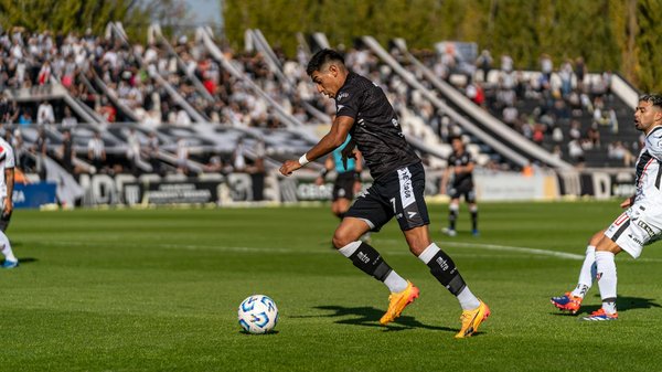 Guía Completa para Amantes de los Animales