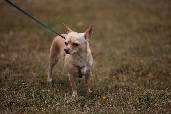 ¿Cómo se puede fomentar una cultura de innovación en el lugar de trabajo?